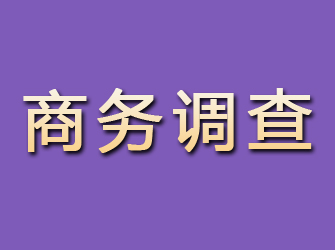 信阳商务调查